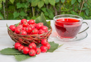 The decoction of hawthorn