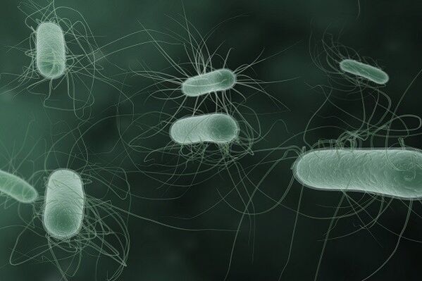 microorganisms that cause pathological discharge when stimulated