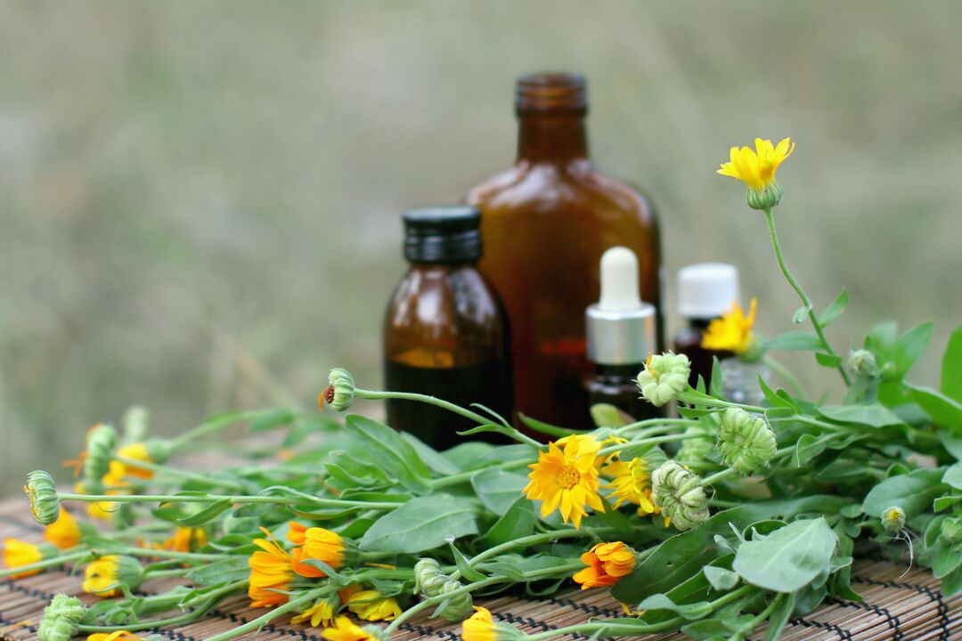 Elecampane - a folk remedy for aphrodisiac with reduced potency