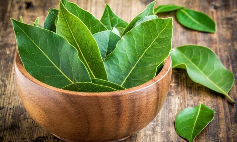 Laurel leaf