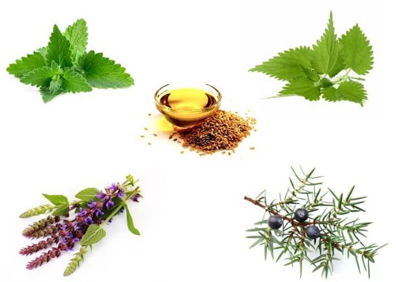 Peppermint, ghost trees, basil, juniper and flaxseed oil