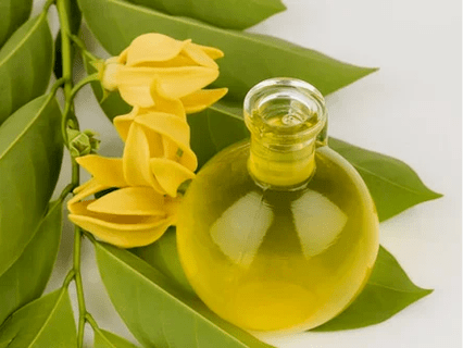 Fragrance therapy to improve the potential